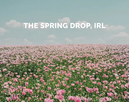 The Spring Drop IRL