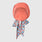 https://cdn.shopify.com/s/files/1/0139/8942/files/2025_Q2_04_SUNSET-DRIFT_FARIDA-SCRUB-CAP_GHOST_1171.jpg?v=1745431892