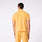 https://cdn.shopify.com/s/files/1/0139/8942/files/2025_Q3_07_Dandelion_Walden-Mock-Neck_Scott_710.jpg?v=1752781944