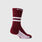 https://cdn.shopify.com/s/files/1/0139/8942/files/2025_Q3_09_BURGUNDY_ARCHTEK-STRIPE-CREW-SOCK_GHOST_0176.jpg?v=1774076386