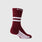 https://cdn.shopify.com/s/files/1/0139/8942/files/2025_Q3_09_BURGUNDY_ARCHTEK-STRIPE-CREW-SOCK_GHOST_0176.jpg?v=1758808189