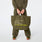 https://cdn.shopify.com/s/files/1/0139/8942/files/2025_Q4_10_SPRUCE_TOTE_ALESSANDRA_1243.jpg?v=1759498108