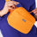 https://cdn.shopify.com/s/files/1/0139/8942/files/2026_Q1_03_ORANGE-TAFFY_SHIFT-BELT-BAG_AYSSA_1435.jpg?v=1777424472
