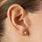 Tooth Stud Earrings Gold