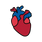 https://cdn.shopify.com/s/files/1/0139/8942/files/ANATOMICALHEART_REVISED_4cae9918-891e-4279-8e9e-30da824c6bba.png?v=1740160426