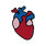 https://cdn.shopify.com/s/files/1/0139/8942/files/ANATOMICALHEART_b408d1fa-3156-4979-9f46-58529794d588.png?v=1699907249