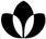 https://cdn.shopify.com/s/files/1/0139/8942/files/AyaEducationLogo.png?v=1746148095