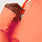 https://cdn.shopify.com/s/files/1/0139/8942/files/Q2_2023_04_PAPAYA_CONTOURKNIT-JACKET_W_SAJE_11279.jpg?v=1687978277