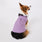 https://cdn.shopify.com/s/files/1/0139/8942/files/Q4_2024_10_LAVENDERDEW_RUFFAELA_EMMY_2010.jpg?v=1733938403