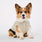 High Pile Dog Vest