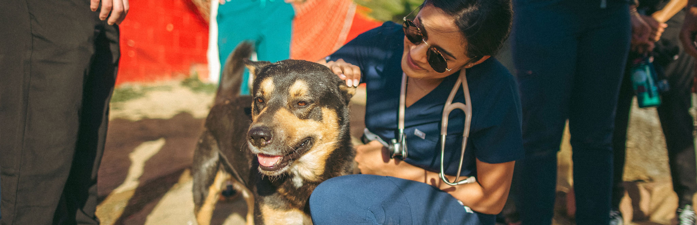 A veterinarian with a dog.