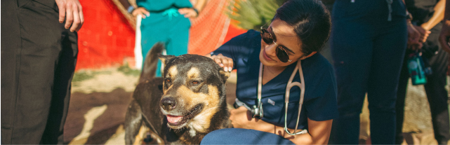 Threads for Threads | FIGS · FIGS