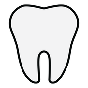 https://cdn.shopify.com/s/files/1/0139/8942/products/tooth.png?v=1699557863